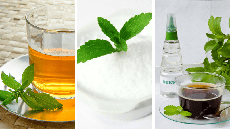 Como consumir Stevia